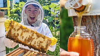 How Honey Is Made By Billions Of Bees | Eitan Bernath