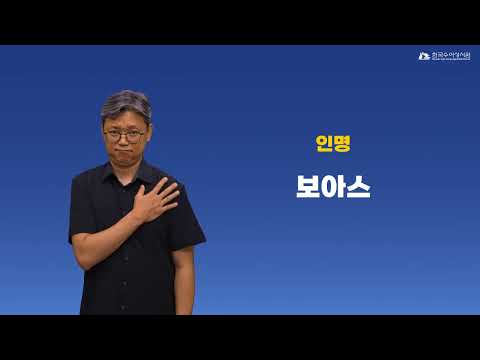 보아스 수어