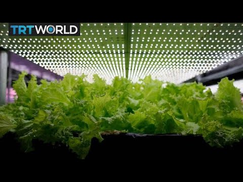 Paris turns public spaces into farming projects | Money Talks