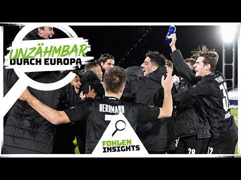 FoalInsights - Untamable Through Europe