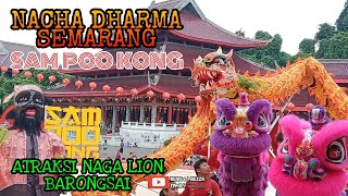 Download lagu DRAGON AND LION DANCE ❗TAHUN BARU IMLEK 2023 SAM POO KONG mp3 Download lagu DRAGON AND LION DANCE ❗TAHUN BARU IMLEK 2023 SAM POO KONG mp3