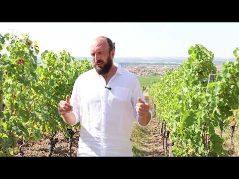 3 Zeilen – FAQ 07: Auf welchen Böden pflanzt 3 Zeilen an?