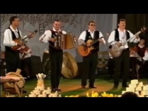 ANSAMBEL TONIJA VERDERBERJA - Sprehod v dežju