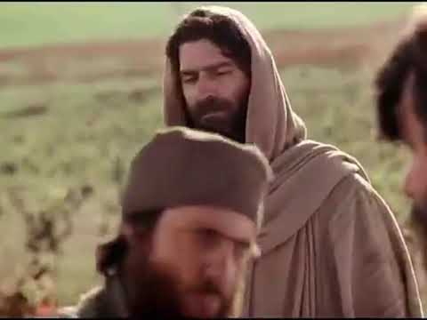 Riflessione (traccia): 25 domenica ordinario a 2020