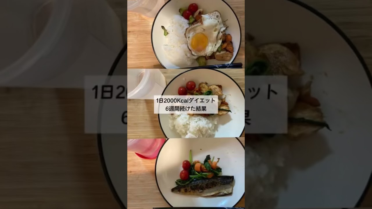 1日2000kcal6週間続けてみた。