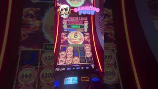 Dragon Link Win?! Gambling Pugs Adventure (See What Happened!)
