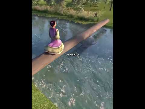 How You Invented Bridges (Accidentally)