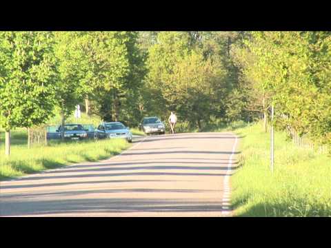 Markolio - jag orkar inte mer