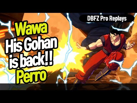 【DBFZ】 Wawa's Gohan is back!! Wawa vs Perro 【DBFZ Pro Replays】