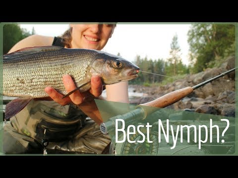 Fly fishing Norway – Grayling Nymphs