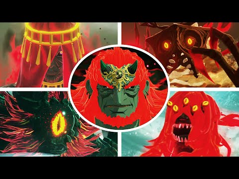 Hyrule Warriors: Age of Imprisonment - All Boss Fights (4K)