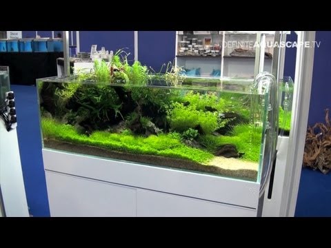 Aquascaping - Aquarium Ideas from Aquatics Live 2012, part 1