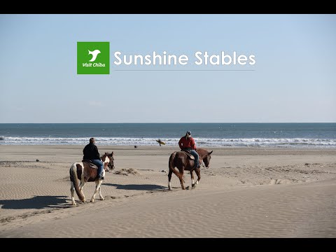 Sunshine Stables - Kujukuri, Chiba