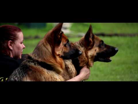 Intervija ar Ati Ozeru no “Wolf's Pack Team”