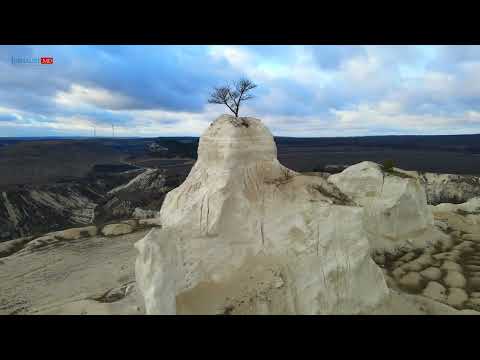 „Mica Elveție a Moldovei” și celebrul ei copac (Fetești)