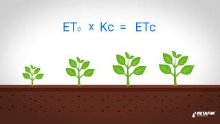 How much to irrigation  ETO