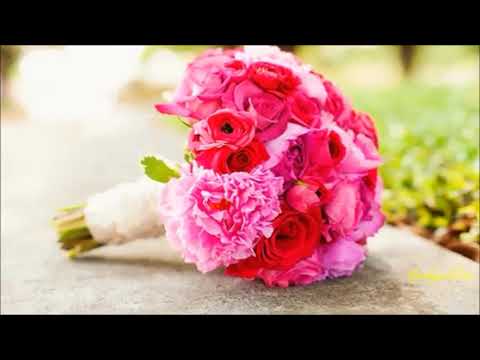 Lá đổ muôn chiều Sheet - Sĩ Phú