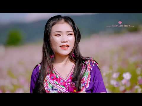 Ua neej zoo li zaj dab neeg -Yeeb Faj 黄英 -nkauj tawm tshiab 2022