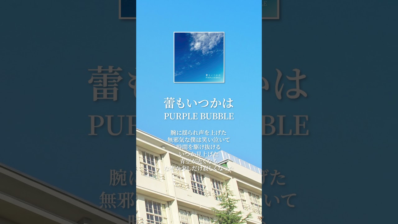 新生活、お疲れ様です。「蕾もいつかは / PURPLE BUBBLE」 #邦ロック  #インディーズバンド