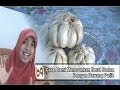 obat herbal untuk melangsingkan badan obat herbal untuk melangsingkan badan