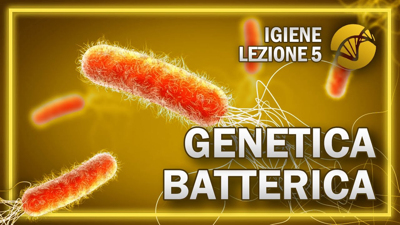 BATTERI - Parte 2: Genetica batterica | Igiene - Socio Sanitari | Lezione 5