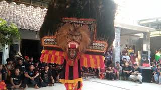 Download lagu ADU SKILL REOG PONOROGO 👏👏 mp3