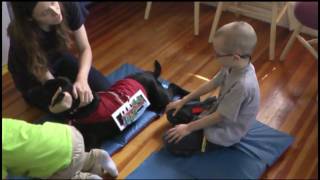 5 Green Speckled Frogs with Eve