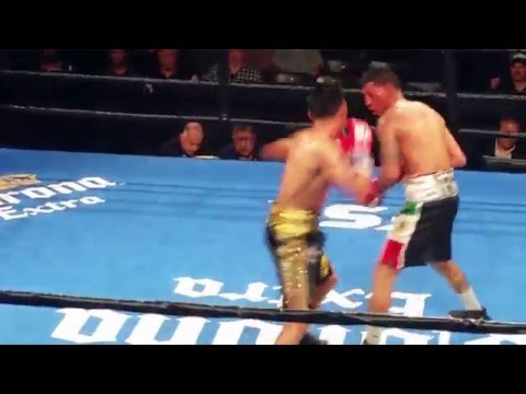 Hightlights from Toe To Toe Tuesdays