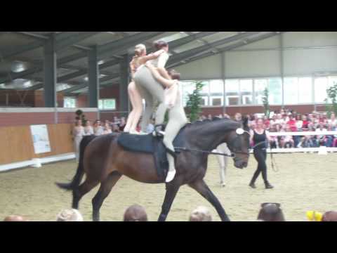 M Team Lohne Samstag WEM 2016