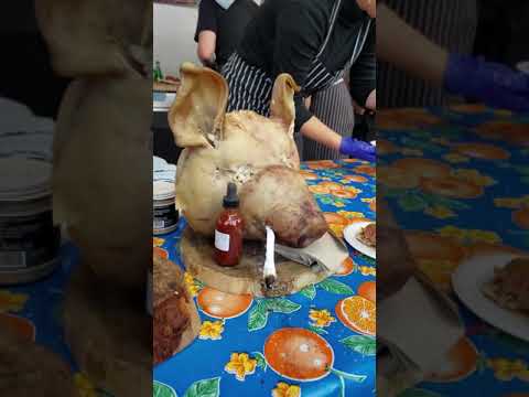 download lagu mp3 mp4 Pig Roast Portland, download lagu Pig Roast Portland gratis, unduh video klip Pig Roast Portland