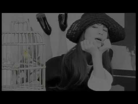 ハミングがきこえる  / カヒミ・カリィ【Official Music Video】