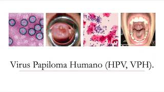 Carcinogénesis (Parte 2)