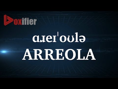 How to Pronunce Arreola in English - Voxifier.com
