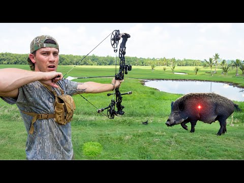 48 Hours Off-Grid Swamp Survival!! (BOW HUNTING WILD HOGS)