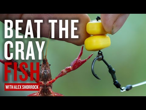 How To Beat The Crayfish | Rigs Hook Baits & Bait | Avoiding Crayfish | Carp Fishing Tips