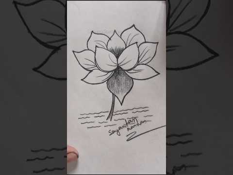 step by step beautiful lotus 🪷🪷 drawing #drawingsayantan #art #shorts #lotus #drawing