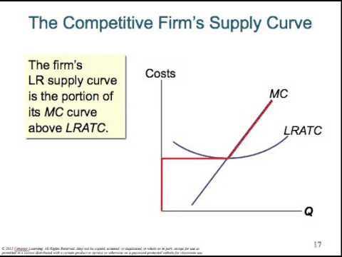 Firms in Competitive Markets
