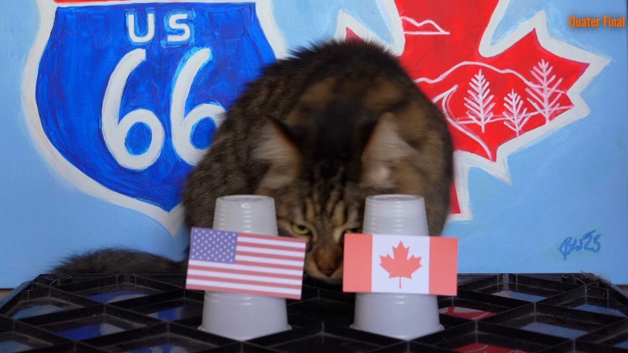 United States Vs Canada - Animals Gold Cup 2023 Prediction