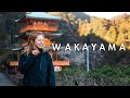 Wakayama's Hidden Gems and How To See Them!