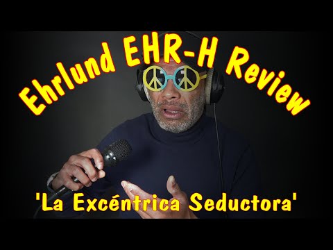 Ehrlund EHR-H Handheld Studio Condenser Microphone image 26
