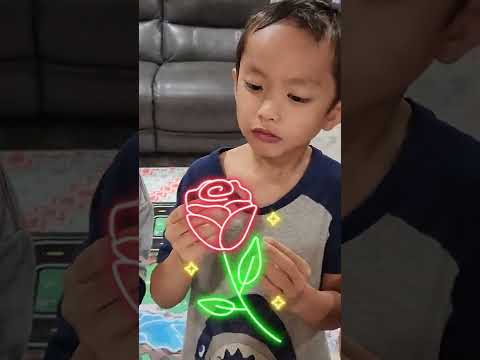 Costco Gudrun Fine Belgian Chocolates with Raiden #shorts #shortfeed