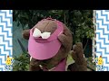 Wibbly Wobbly Classic Episode Bananas In Pyjamas Official YouTube