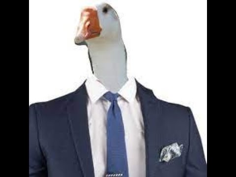 The Goose is Loose (MrZack123)