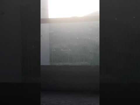 REG 2426 Cosenza-Napoli Centrale con una sorpresa alla fine.