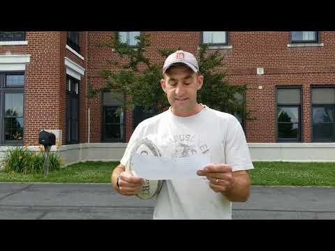 GSPN EP 8: When Amoebas Collide