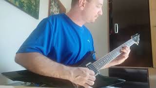 MY DYING BRIDE - The Crown Of Sympathy ( Guitar Cover)