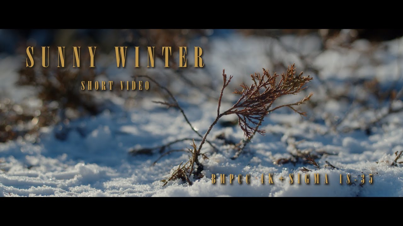 BMPCC 4K + CANON EF 50mm 1.8 STM / Davinci Resolve color grade / Cinematic winter short film Artlist