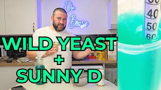 Wild Yeast + Sunny D