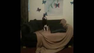 It&#39;s not your birthday anymore