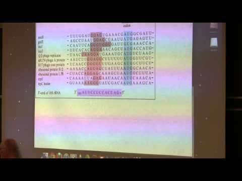 Kevin Ahern's BB 350 (Translation II) 2014 - #20